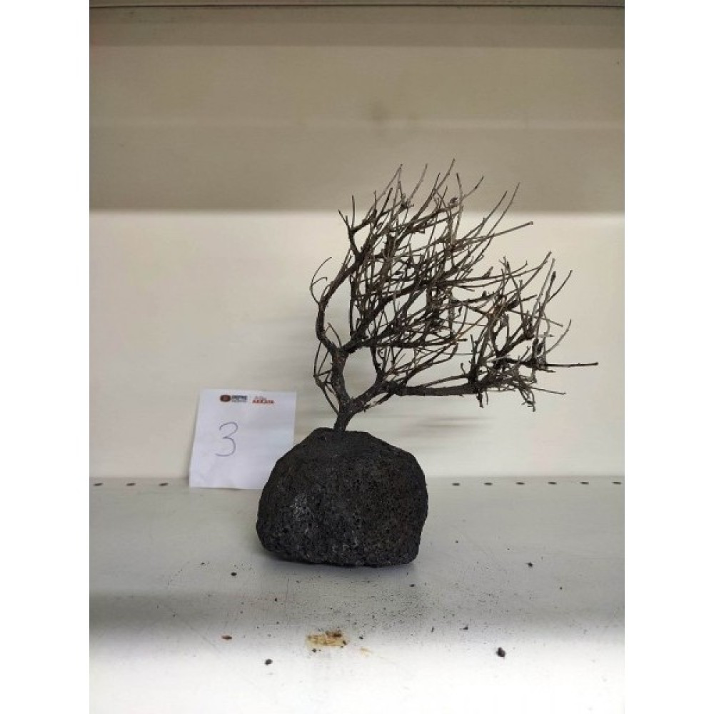 Canlipetshop Özel Tasarım Akvaryum Dekoratif Ağaç Kaya 18*15 cm No:3 Evcil Hayvan Ürünleri Fiyatı