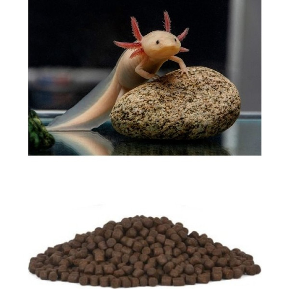 Canlipetshop Y-Axolotl Yemi 40 gr Batan Yem Evcil Hayvan Ürünleri Fiyatı