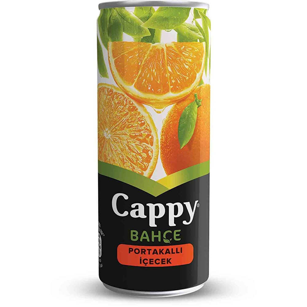 Cappy Portakal Kutu 250 ml Limonata ve Meyve suyu Fiyatı