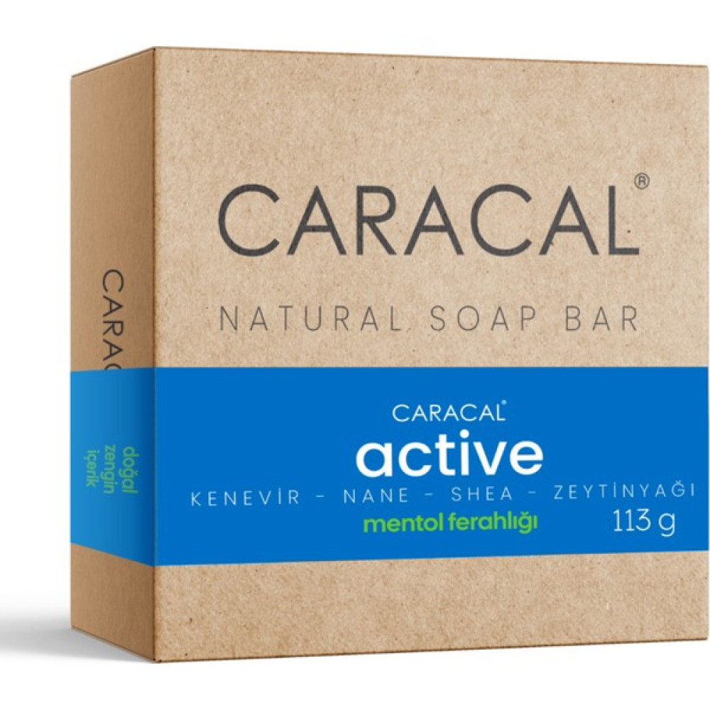Caracal Active Mentol Nane Doğal Katı Sabun Shea Yağı Hindistan Cevizi Yağı Kenevirtohumu Yağı Oto Boyaları Fiyatı