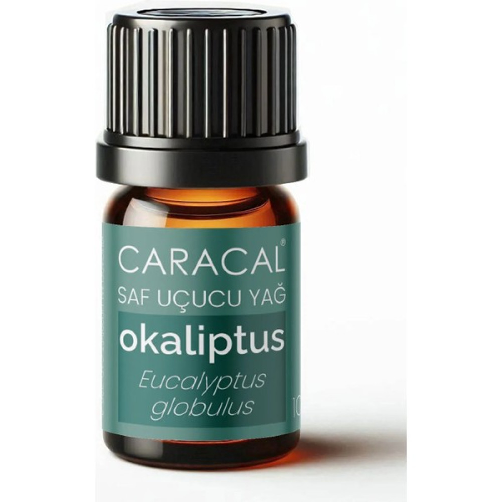 Caracal Saf Okaliptus Uçucu Yağı Doğal Okaliptus Yağı 5ml - 5 ML Oto Boyaları Fiyatı