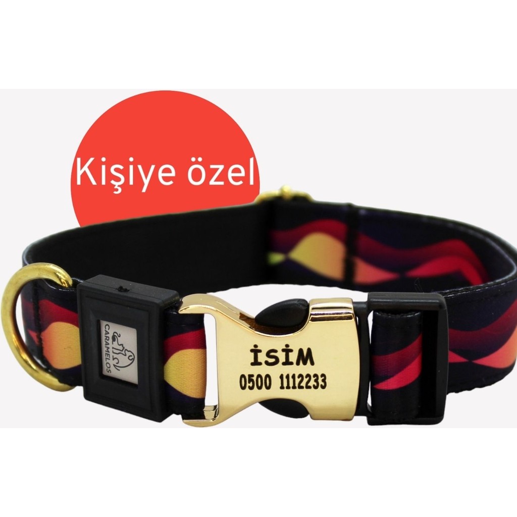 Caramelos Isimli Kişiye Özel Orta ve Büyük Irk Ayarlanabilir Köpek Boyun Tasması 2,5 cm - Altın Evcil Hayvan Ürünleri Fiyatı