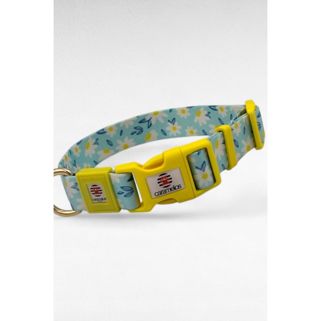 Caramelos Isimli Köpek Tasması, Isimli Tasma, Orta ve Büyük Irk Tasma, Köpek Tasma, Kişiye Özel Tasma, 2,5 cm - Sarı - Beyaz - M SSD / Solid State Drive Fiyatı