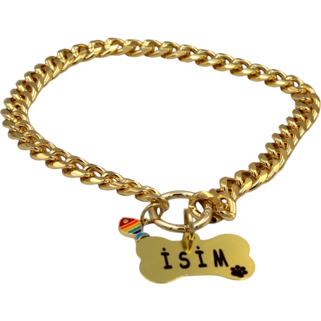 Caramelos Isimli Köpek Tasması- Köpek Zincir - Paslanmaz Çelik Köpek Kolyesi - Köpek Kolye - Orta ve Büyük Irk - Altın - M SSD / Solid State Drive Fiyatı