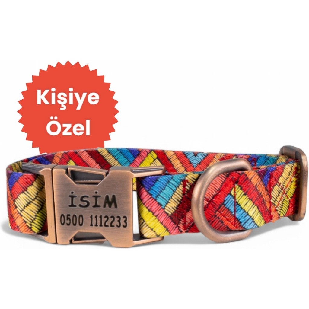 Caramelos İsimli Köpek Tasması, Orta Ve Büyük Irk Köpek Tasması Köpek İsimlik, metal Kilitli Tasma 2,5 cm SSD / Solid State Drive Fiyatı