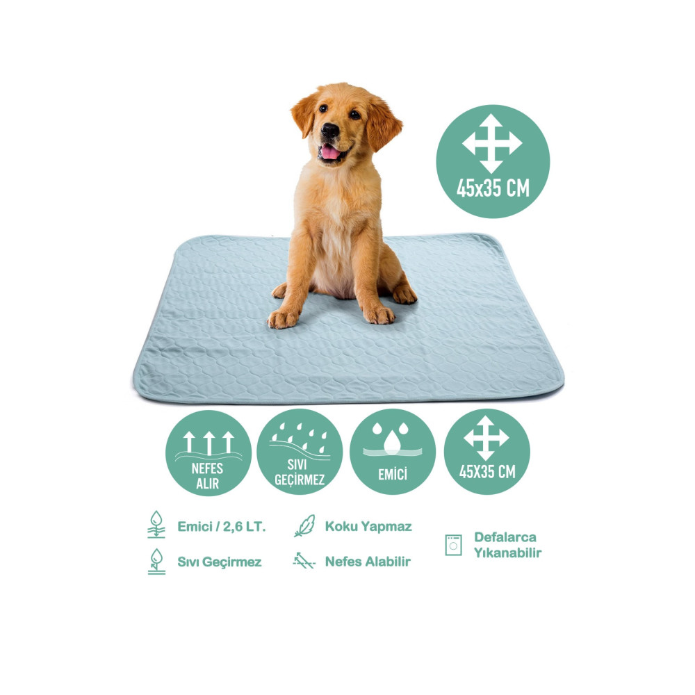 Careshop Abso Yıkanabilir Emici Tuvalet Eğitim Köpek Pedi ( 45x35 cm ) Evcil Hayvan Ürünleri Fiyatı