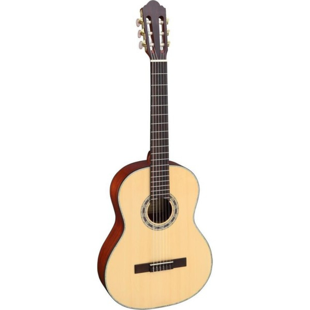Carissa Cg-400 4/4 Tam Boy Gitar Oto Boyaları Fiyatı