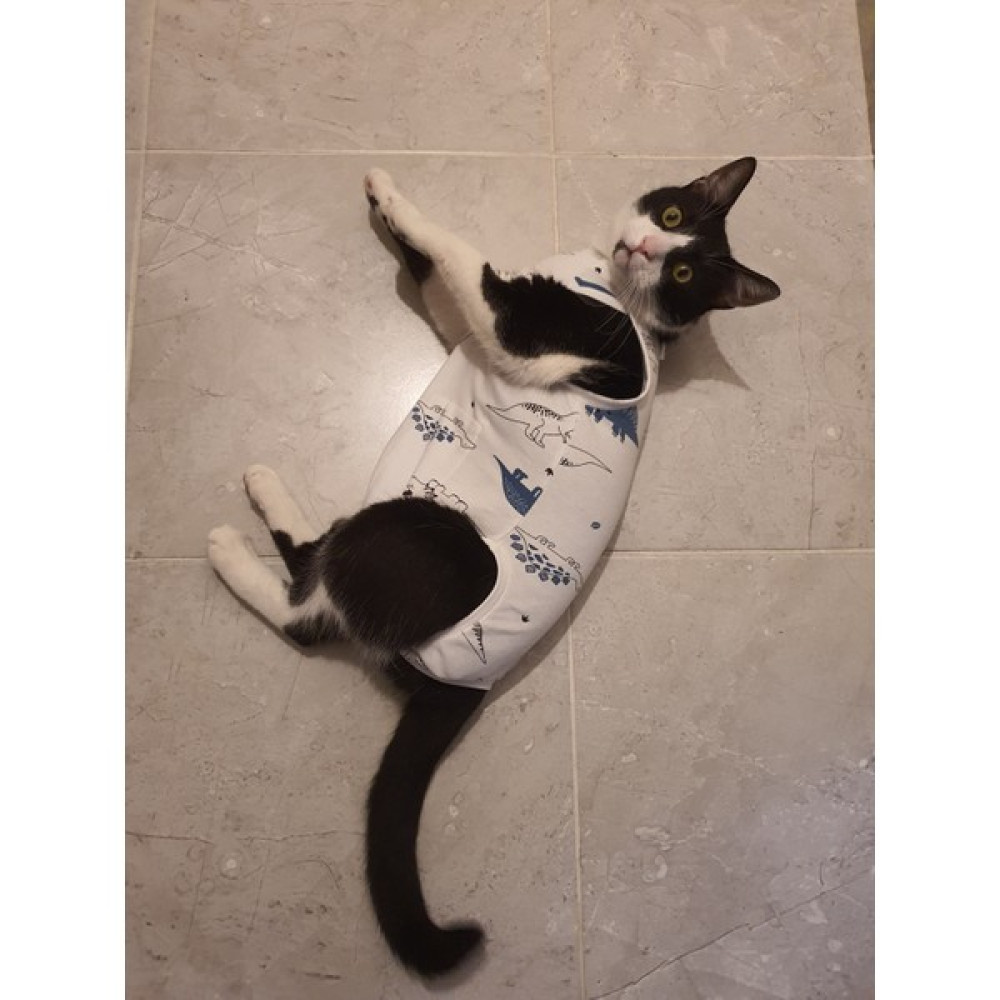 Carites Ameliyat Sonrası Yara Bölgesini Koruyan Kedi Tulumu - Beyaz - M Evcil Hayvan Ürünleri Fiyatı