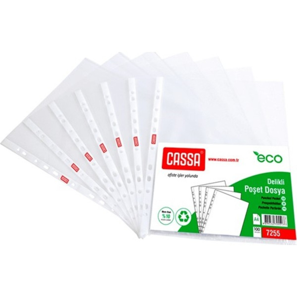 Cassa Assis Buzlu Poşet Dosya 30 Mikron Eco Oto Boyaları Fiyatı
