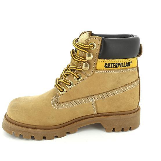 Cat Colorado Honey Erkek Botu
