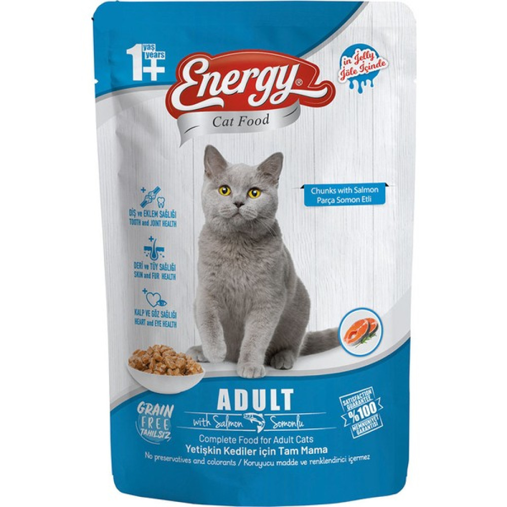 Cat Food Energy Somonlu Yetişkin Islak Kedi Maması 85 G Özel Koli 12 Adet Evcil Hayvan Ürünleri Fiyatı