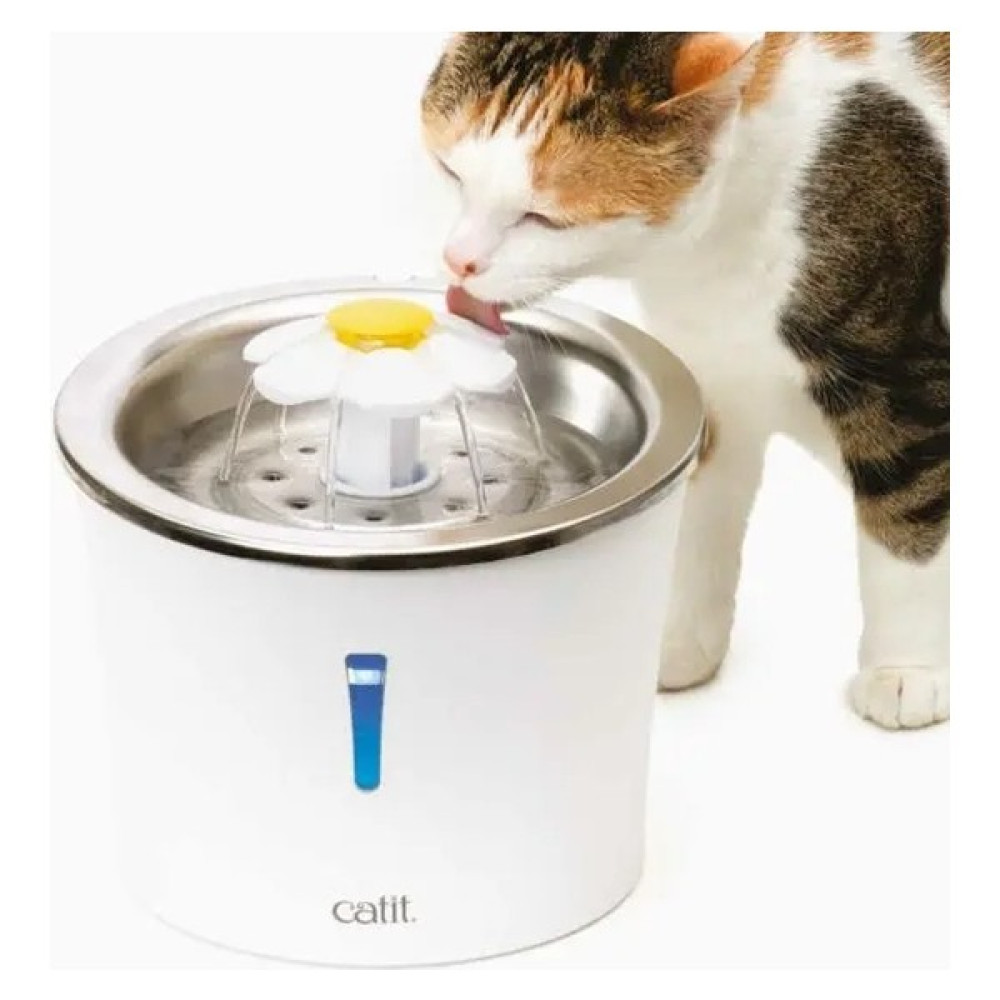 Cat İt Paslanmaz Çelik Kedi Çeşmesi Evcil Hayvan Ürünleri Fiyatı