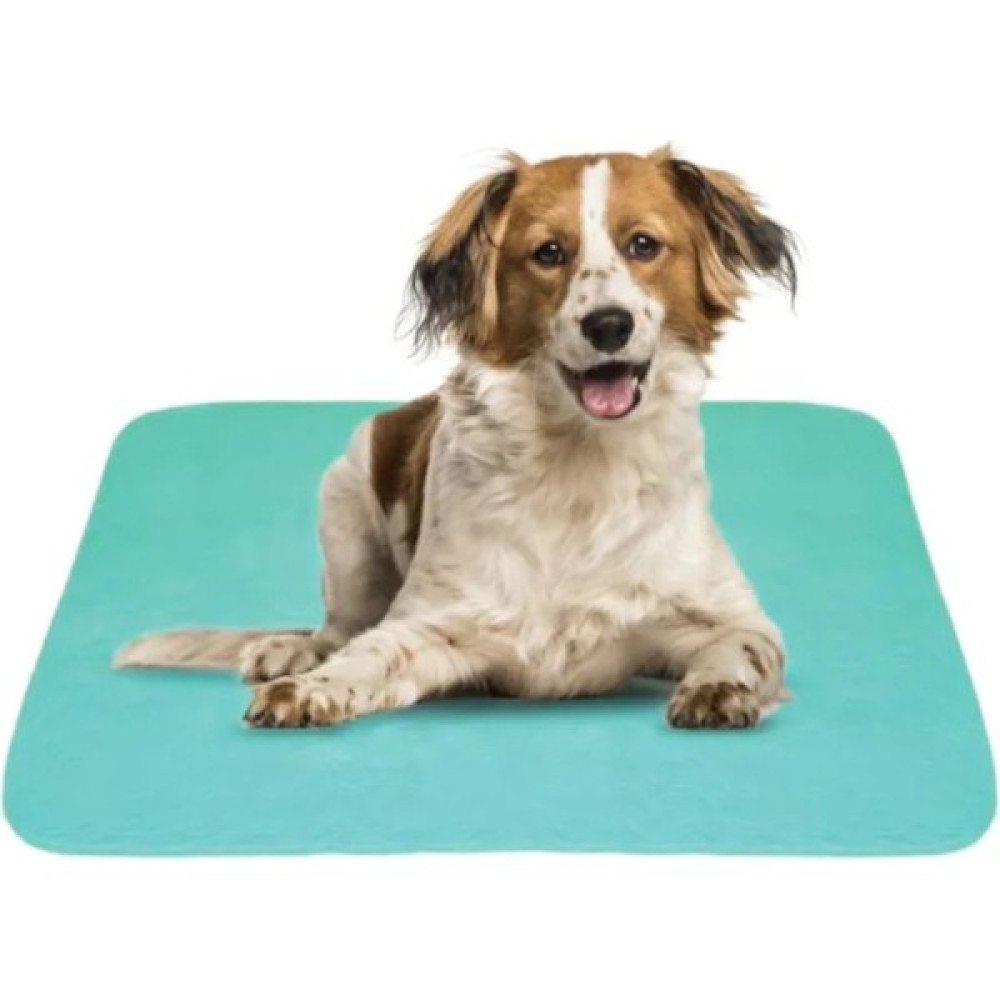 CDE 10'lu Ekonomik Paket 5 Katlı Kapitoneli, Yıkanabilir, Sıvı Geçirmez Köpek Çiş Pedi 75 x 90 cm - Mavi Evcil Hayvan Ürünleri Fiyatı