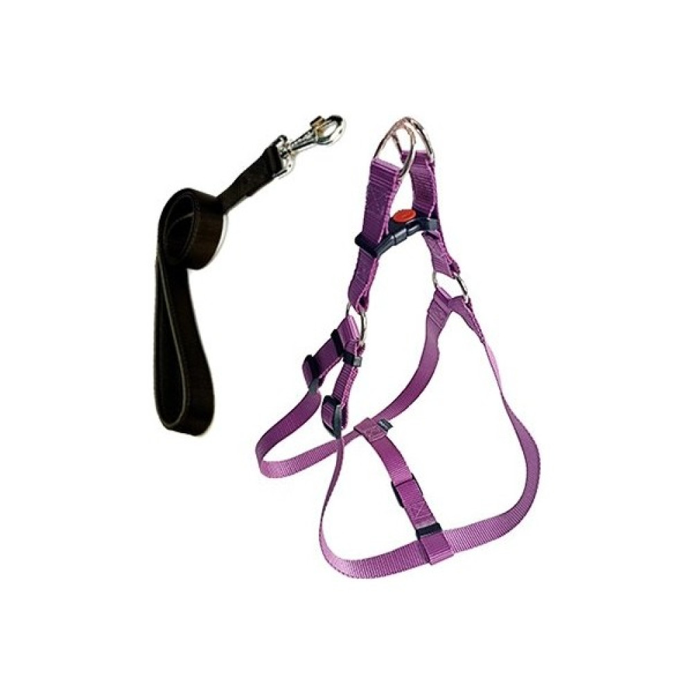 Cece Pet Cool Walk Harness Mor Köpek Göğüs Tasması M Evcil Hayvan Ürünleri Fiyatı