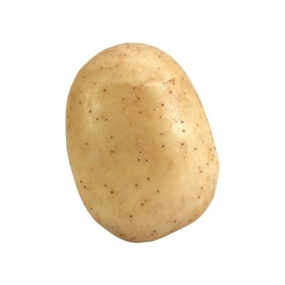 Cegel Ziraat Melody Patates Tohumu 25 kg Tohum Fiyatı