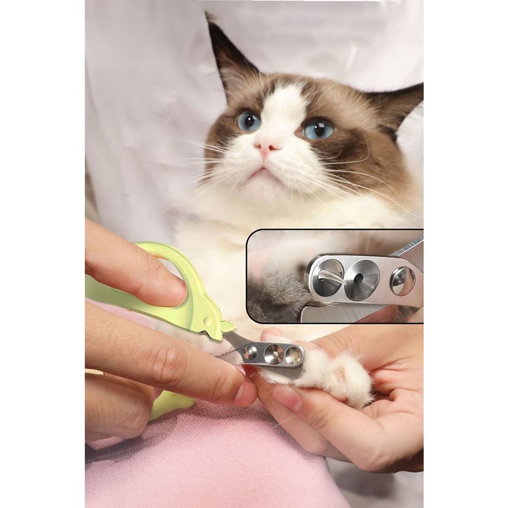 Çelik Uçlu Çift Delikli Yeşil Kedi Tırnak Makası CIN821YS Evcil Hayvan Ürünleri Fiyatı