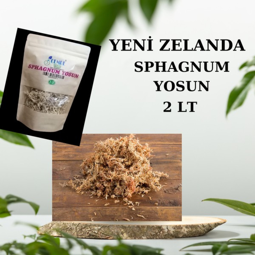 Cemre Torf Sphagnum Yosunu - 2L Bitki Fiyatı