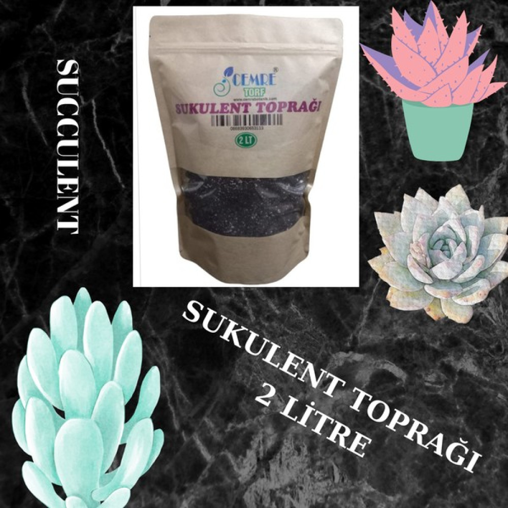 Cemre Torf Sukulenttoprağı 2lt Bitki Fiyatı