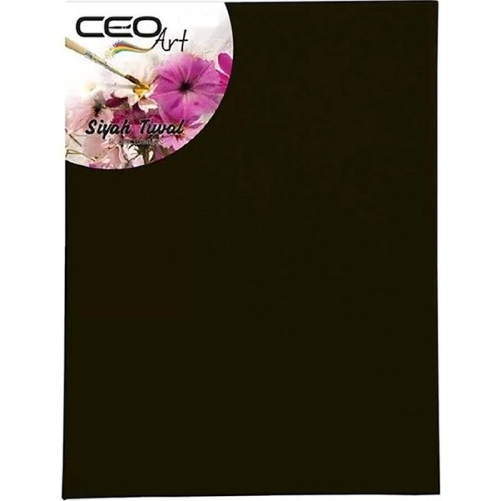 Ceo Art Ceoart 25 x 35 Siyah Tuval CEO TU0012 Oto Boyaları Fiyatı