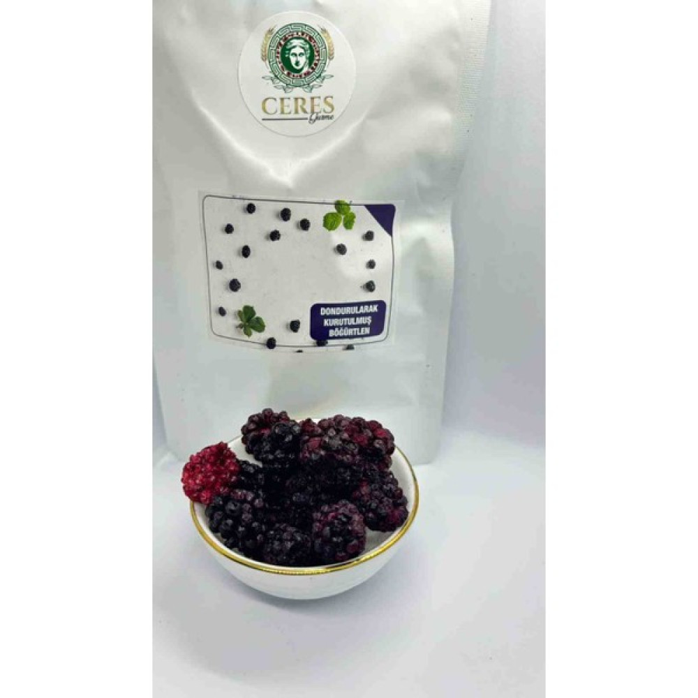 Ceres Freeze Dry Böğürtlen 3 x 20 gr - 1 Adet Oto Boyaları Fiyatı