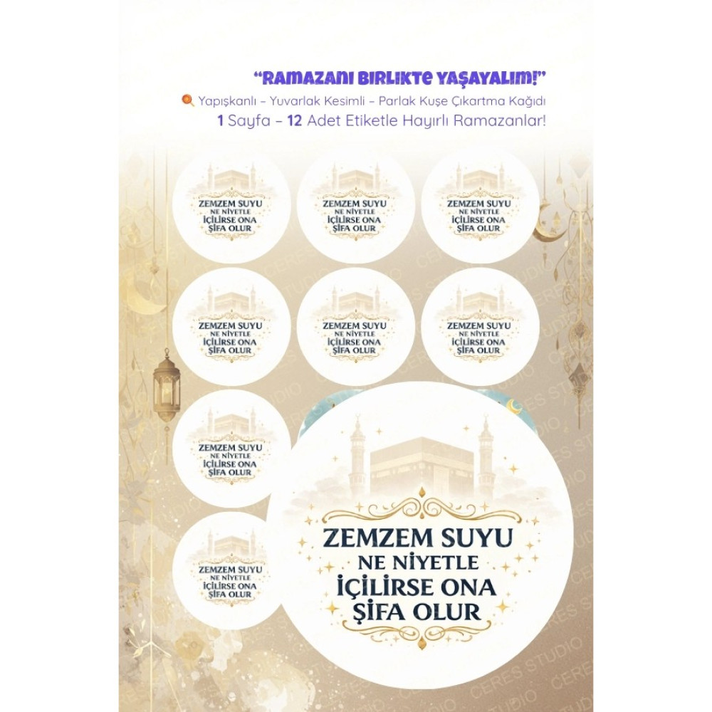 Ceres Studio Zemzem Sticker Seti 12 Adet Etiket | Yapışkanlı, Parlak Kuşe Çıkartma Kağıdı - 1 - Çok Renkli Okul Etiketi Fiyatı