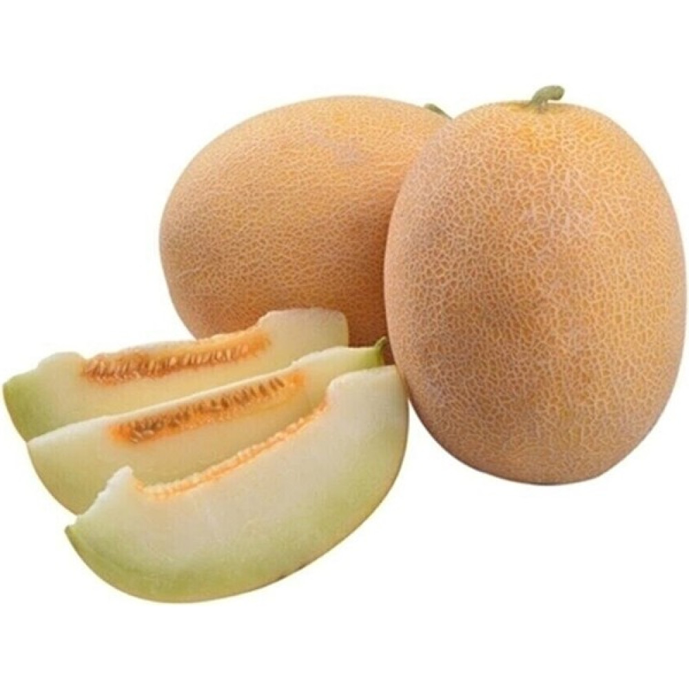 Çermik Fidancılık Ananas Kavun Tohumu 10 gr Tohum Fiyatı