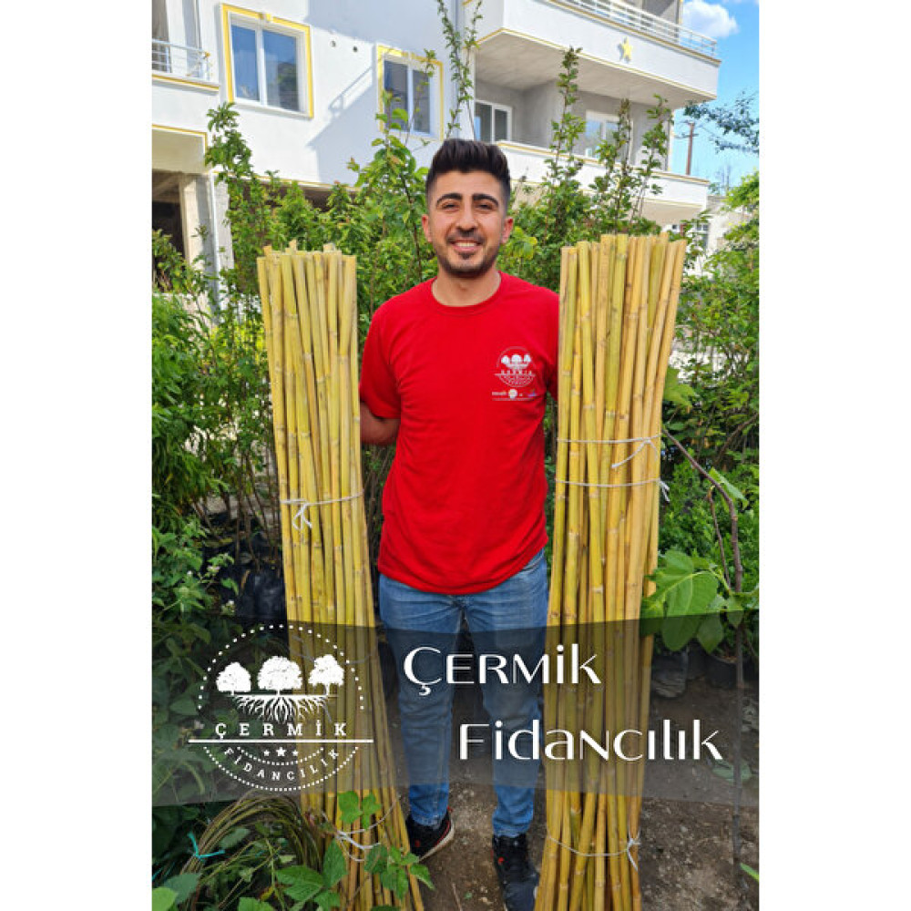 Çermik Fidancılık Bambu Fidan Bitki Destek Çubuğu 10 Adet 170 cm Fidan Fiyatı