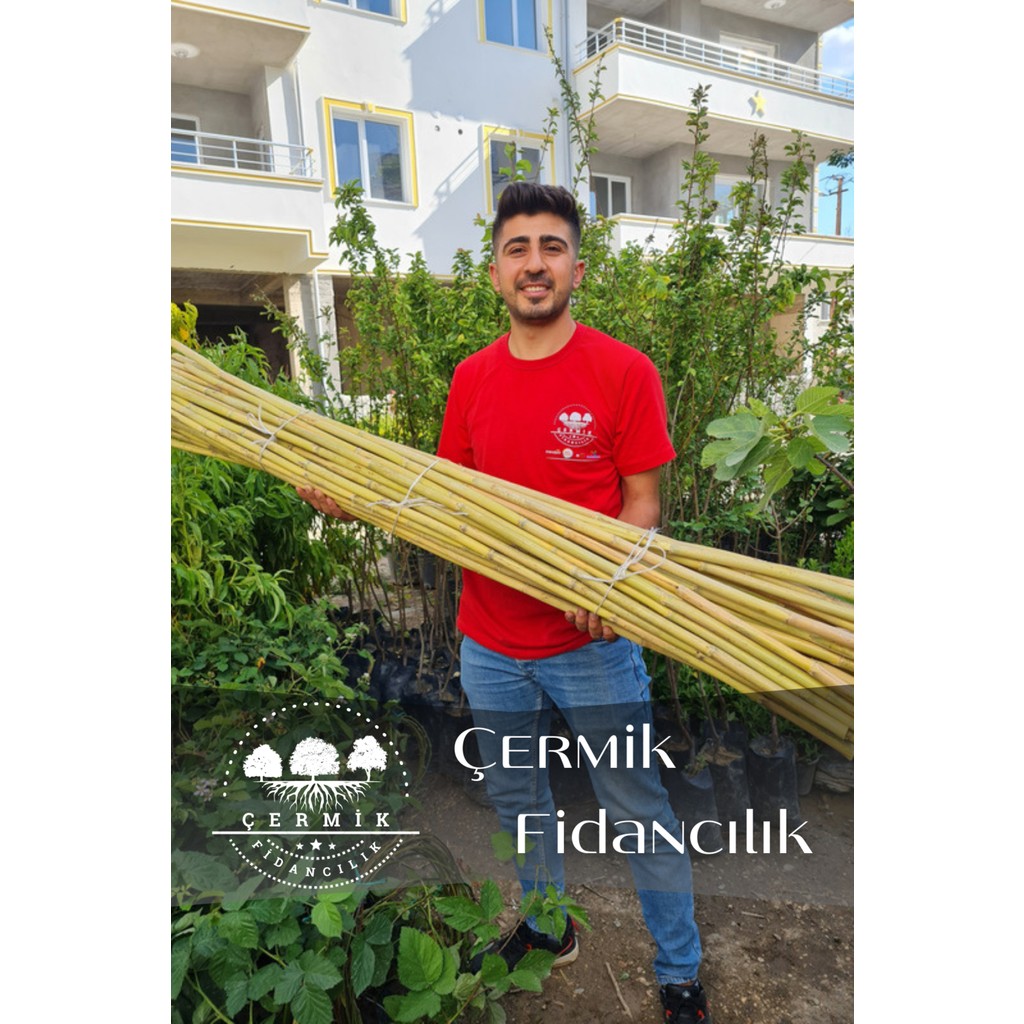 Çermik Fidancılık Bambu Fidan Bitki Destek Çubuğu 30 Adet 2 Metre Boy - 1 Paket Diğer Fiyatı