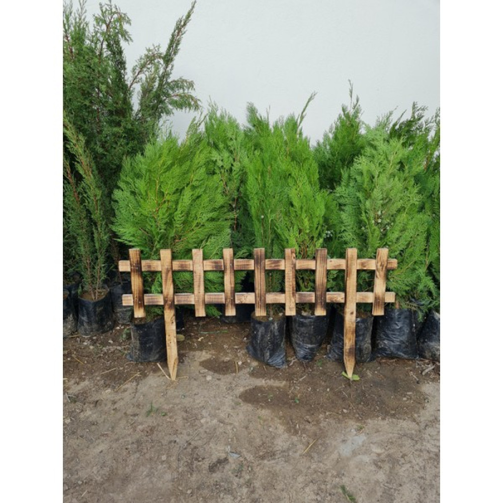 Çermik Fidancılık Özel Üretim Uzun Dekoratif Ahşap Bahçe Çiti 60 x 120 - 60 x 120 Cm Bahçe Çiti Fiyatı