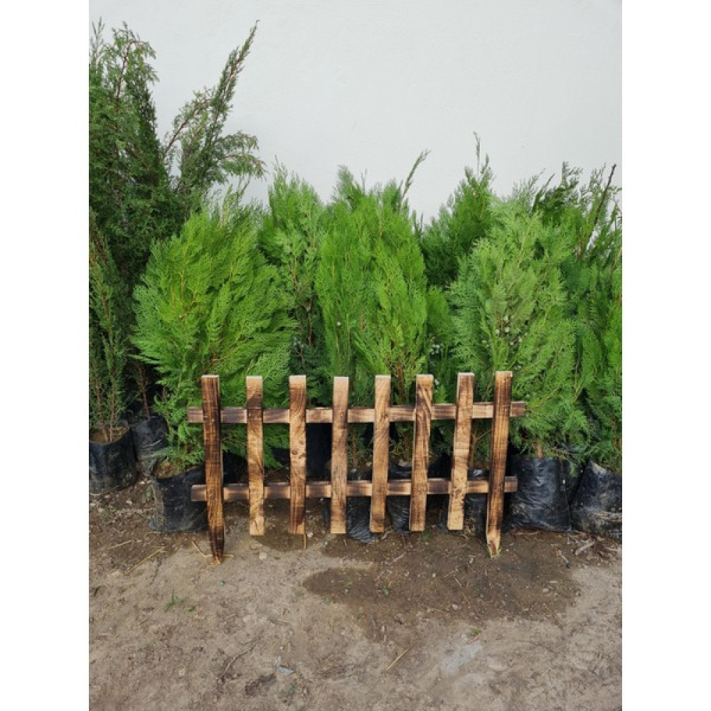 Çermik Fidancılık Özel Yapım Dekoratif Ahşap Bahçe Çiti 60 x 100 - 60 x 100 Cm Bahçe Çiti Fiyatı