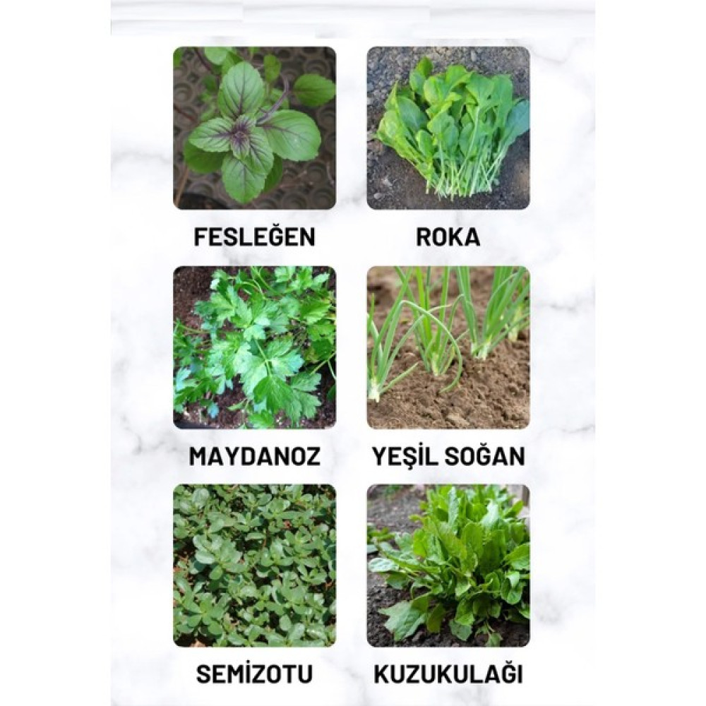 Çermik Fidancılık Yeşillik Tohum Paketi Fesleğen, Roka, Maydanoz, Soğan, Semizotu, Kuzukulağı 60 gr - 1 Adet Tohum Fiyatı