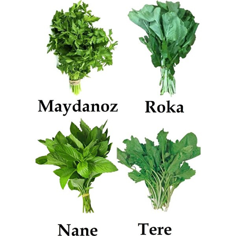 Çermik Fidancılık Yeşillik Tohum Paketi Tere , Maydanoz, Nane, , Roka 40 gr - 1 Adet Tohum Fiyatı
