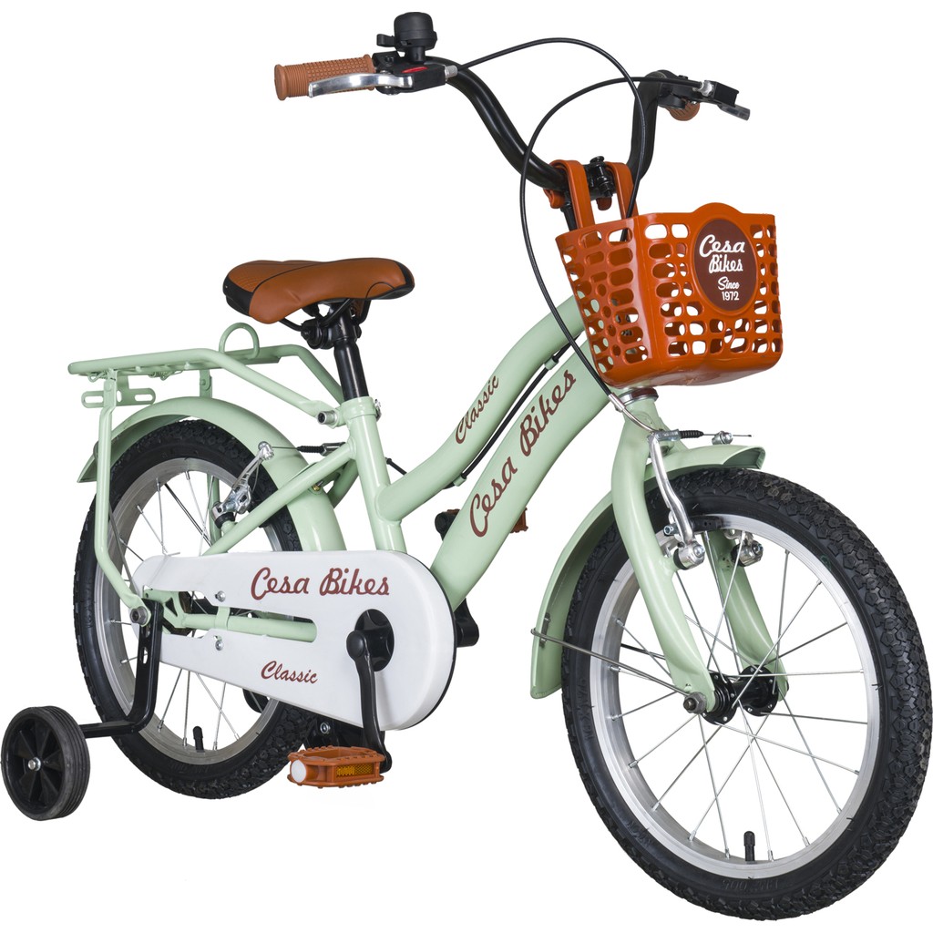 CESA BİSİKLET Cesa Bikes Bagajlı Demir Çamurluk 16 Jant 4-7 Yaş Pastel YEŞİL Çocuk Bisikleti Çocuk Bisikletleri Fiyatı