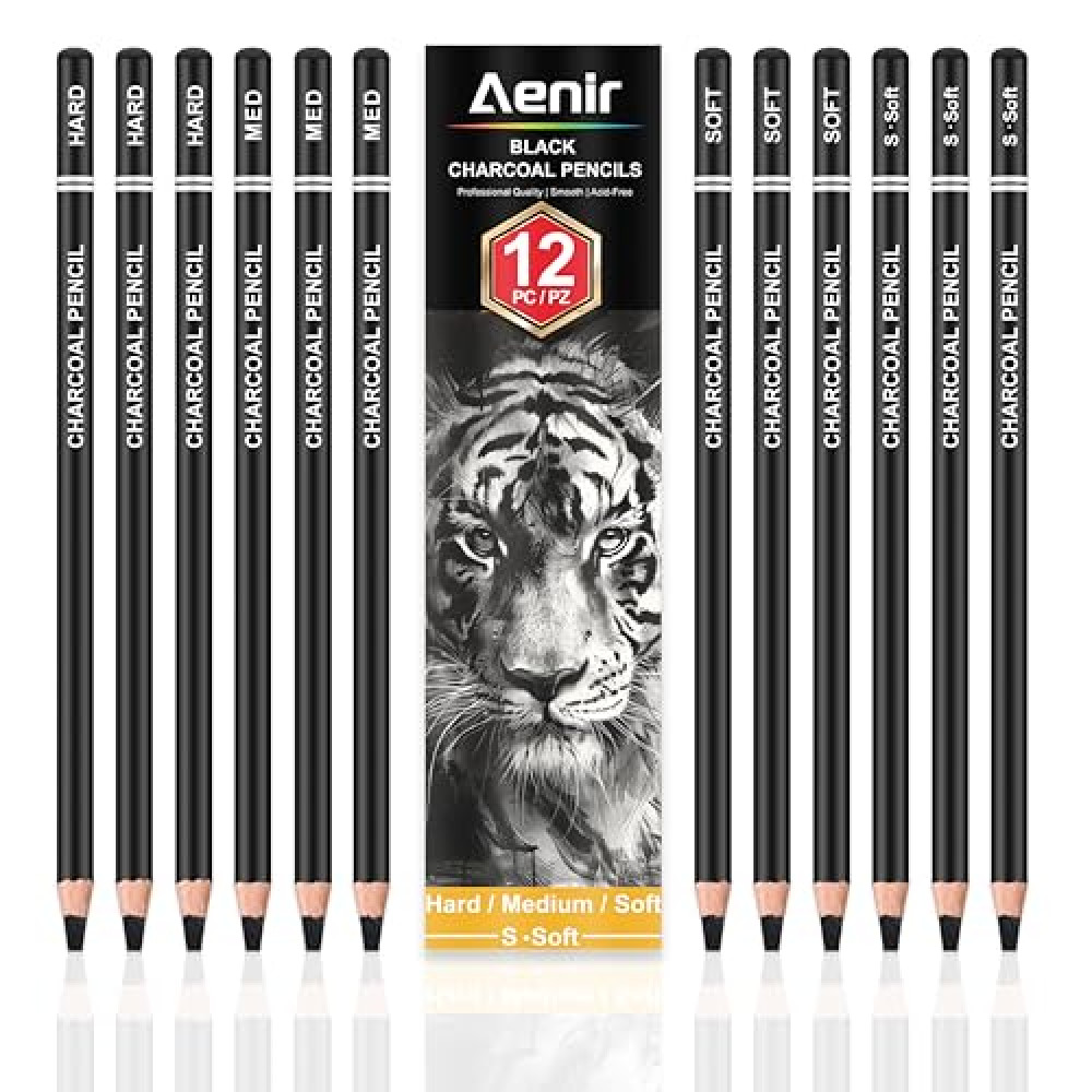 Charcoal Pencils for drawing, Set of 12, Charcoal Drawing Pencils (S-Soft, Soft, Medium, Hard), Art Supplies for Artist, Sketching, Shading