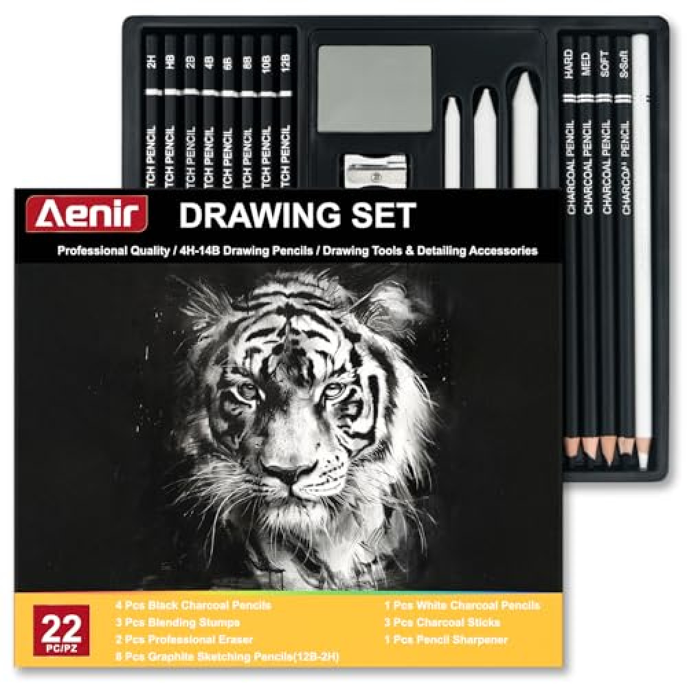 Charcoal Pencils for Drawing, Set of 22, Professional Drawing Sketch Pencils, Art Supplies for Drawing, Sketching, Shading, Artist Pencils for Beginners & Pro Artists.