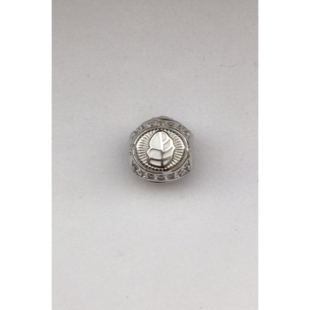Charm to Charm Bileklik Uyumlu Şans Dileği Charm Saat ve Bileklik Aksesuarı Fiyatı