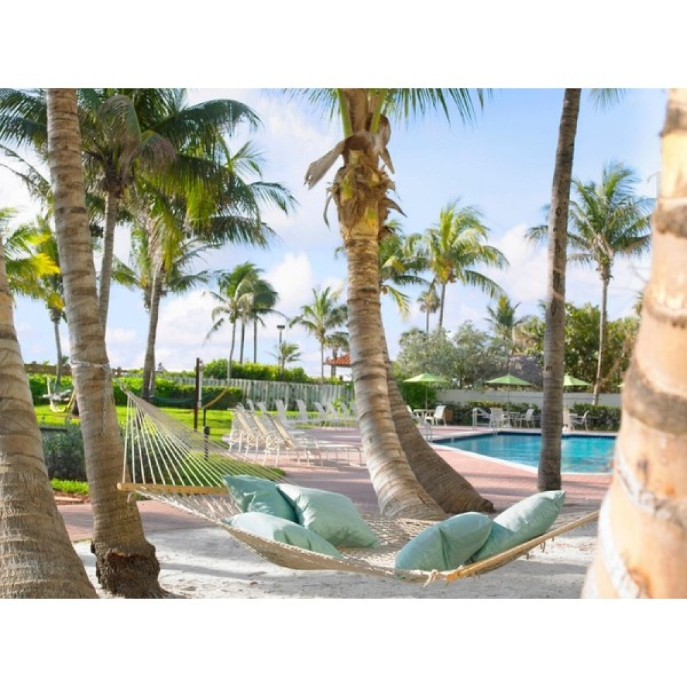Cherche Miami Beach Çift Örgülü Pamuklu Hamak Çift Düğüm Pamuk Hamak Hamak Fiyatı