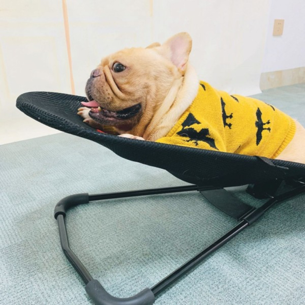 Chica Köpek Sallanan Sandalye Pet Taşınabilir Kulübesi Katlanır Ayrılabilir Yıkanabilir Shaker Fadou Corgi Teddy Bear Yatıştırıcı Sandalye (Yurt Dı... Evcil Hayvan Ürünleri Fiyatı