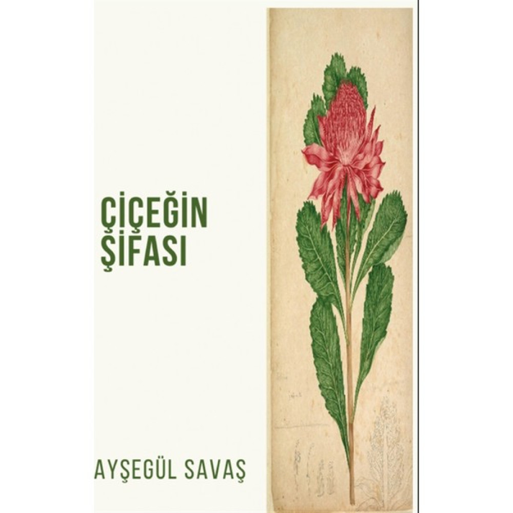Çiçeğin Şifası - Ayşegül Savaş Deneme - İnceleme Fiyatı