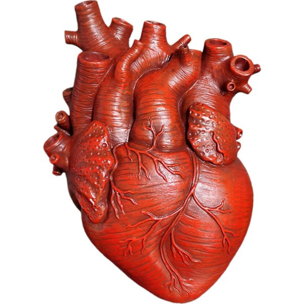 Çiçek Vazo Dekoratif Centerpiece, Reçine Anatomik Kalp Heykeli Eve Taşınma Hediyeler, Masa Centerpieces Ekici Ev Düğün Oturma Odası Yatak Odası Dek... Vazo Fiyatı