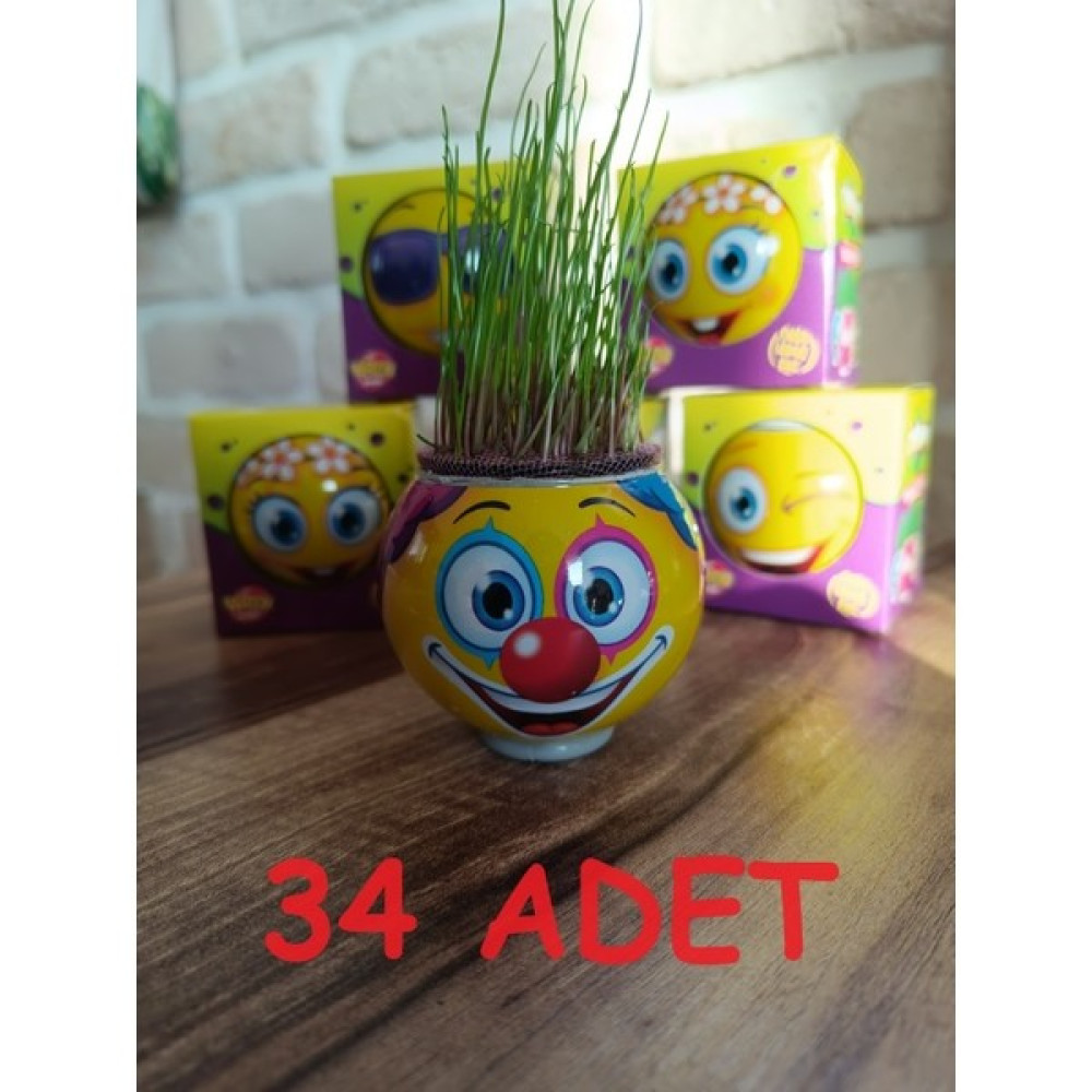 Çim Adam Her Biri Kendi Kutusunda Karne ve Doğum Günü Hediyesi - 34 Bitki Fiyatı