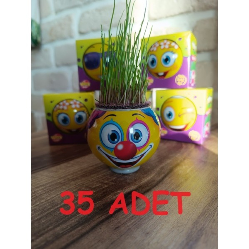 Çim Adam Her Biri Kendi Kutusunda Karne ve Doğum Günü Hediyesi - 35 Bitki Fiyatı