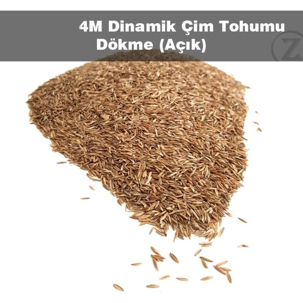 Çim Tohumu 3 Kg Dinamik 6m Dayanıklı Yoğun Basılan Alanlar Için Ideal Çim Tohumu Tohum Fiyatı