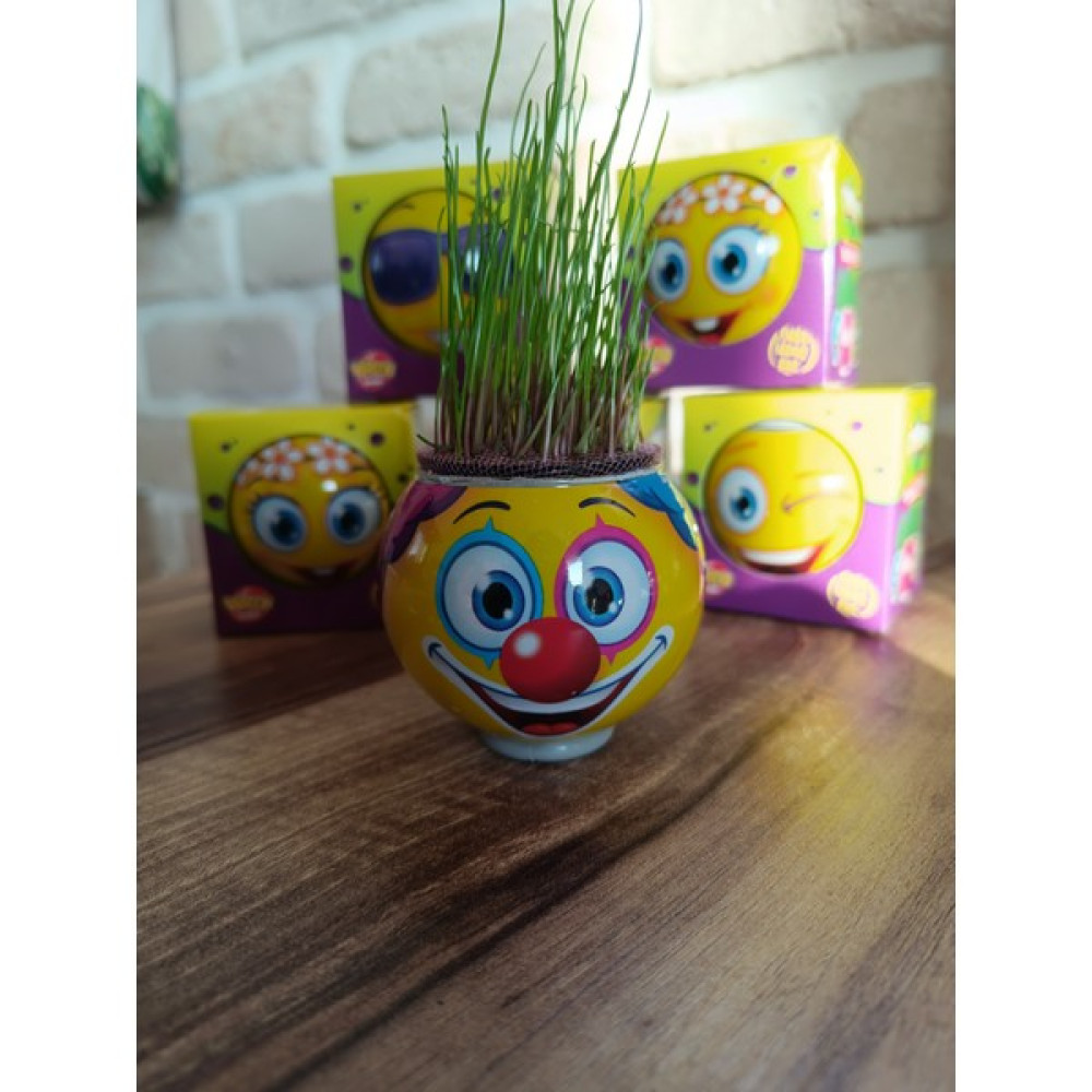 Çimoji Çim Adam 24 adet kutulu - 032 Bitki Fiyatı