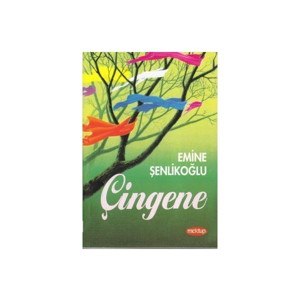 Çingene Diğer Fiyatı