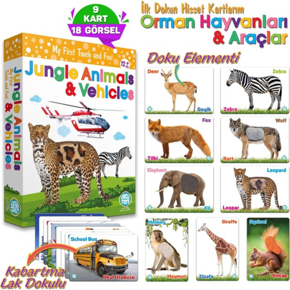 Circle Toys Dokun Hisset Orman Hayvanları ve Araçlar - Renkli Eğitici Oyuncak Fiyatı