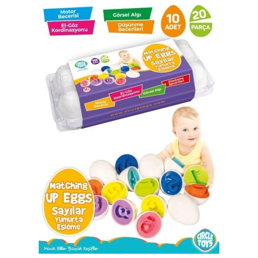 Circle Toys Yumurta Eşleştirme Sayılar Astroloji - Fal - Rüya Tabirleri Fiyatı