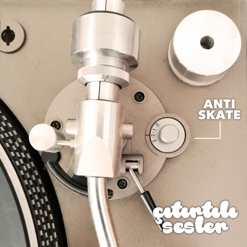 Çıtırtılı Sesler Anti-Skate Kalibrasyon Plağı Pikap & Aksesuarları Fiyatı