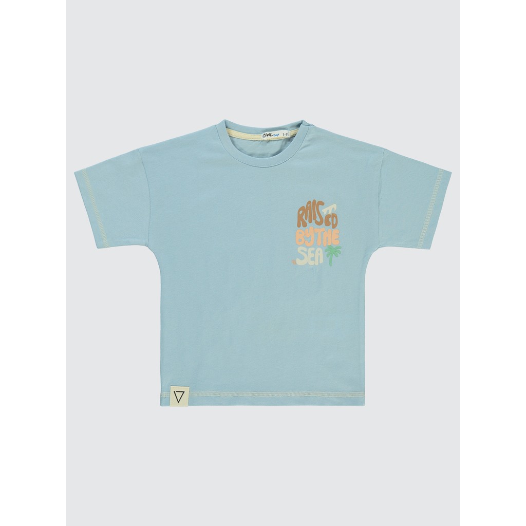 Civil Boys Erkek Çocuk Tişört 2-5 Yaş Mavi Erkek Çocuk T-shirt Fiyatı