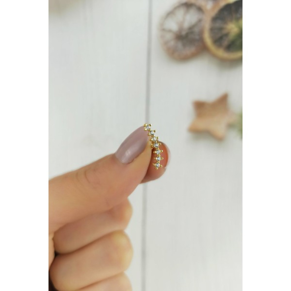 ÇLK Accessories 316 L Cerrahi Çelik Sıra Taşlı Piercing TRPIERCING046 P32003 Altın & Gümüş Piercing Fiyatı